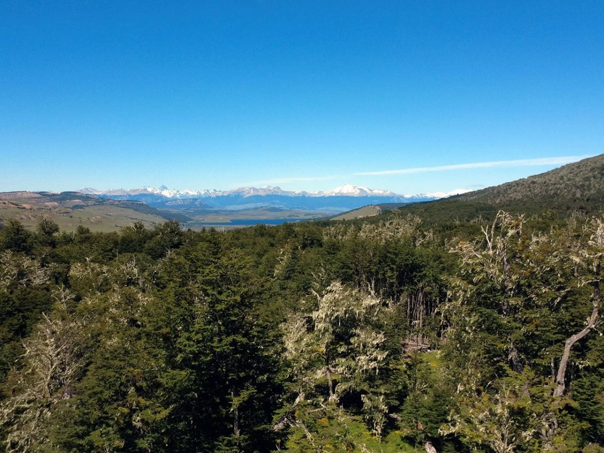 Los factores que aumentan la plusvalía de una parcela en el sur de Chile