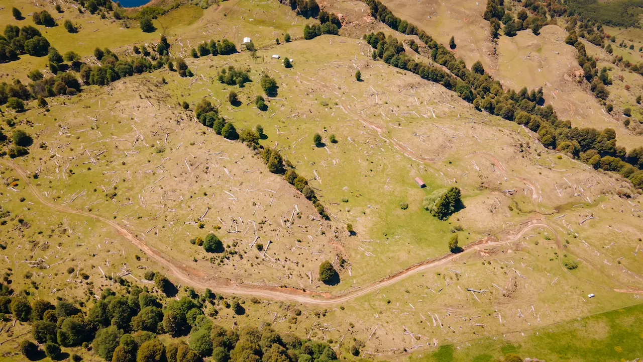 La manera de construir en una parcela de agrado del sur de Chile sin impactar el medioambiente