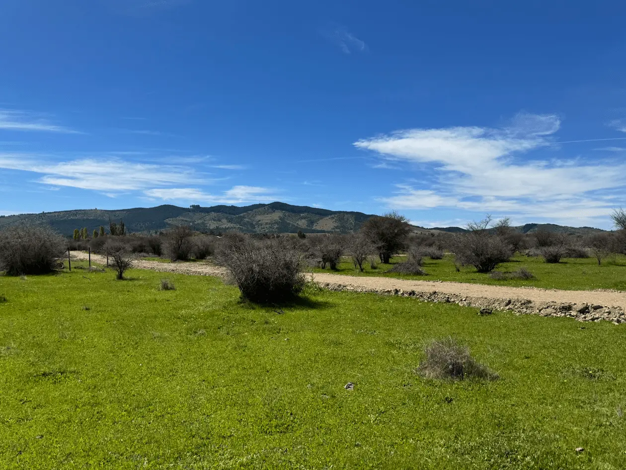 Hacienda Cauquenes